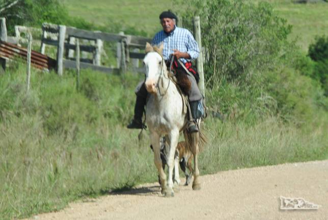 Um vaqueiro conduz seus cavalos em estrada rural na região de Villa Serrana, no Uruguai